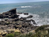 Cape Foulwind 