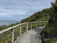 Cape Foulwind 