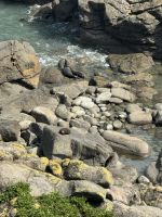Cape Foulwind 