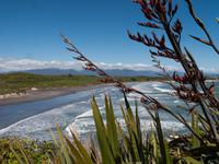 Cape Foulwind