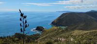 Cape Reinga 