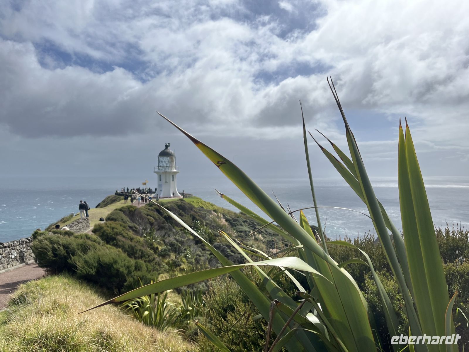 Cape Reinga