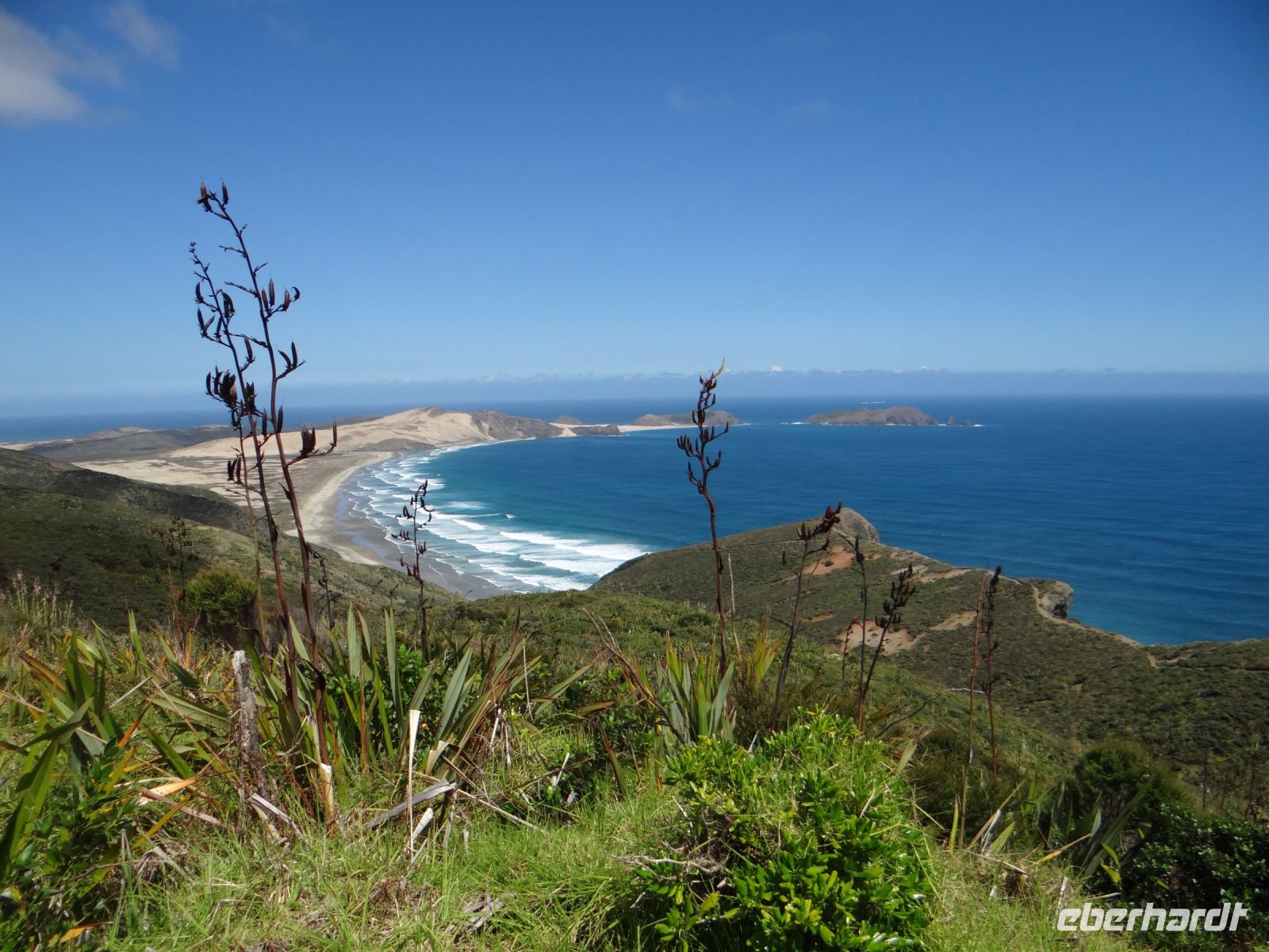Cape Reinga