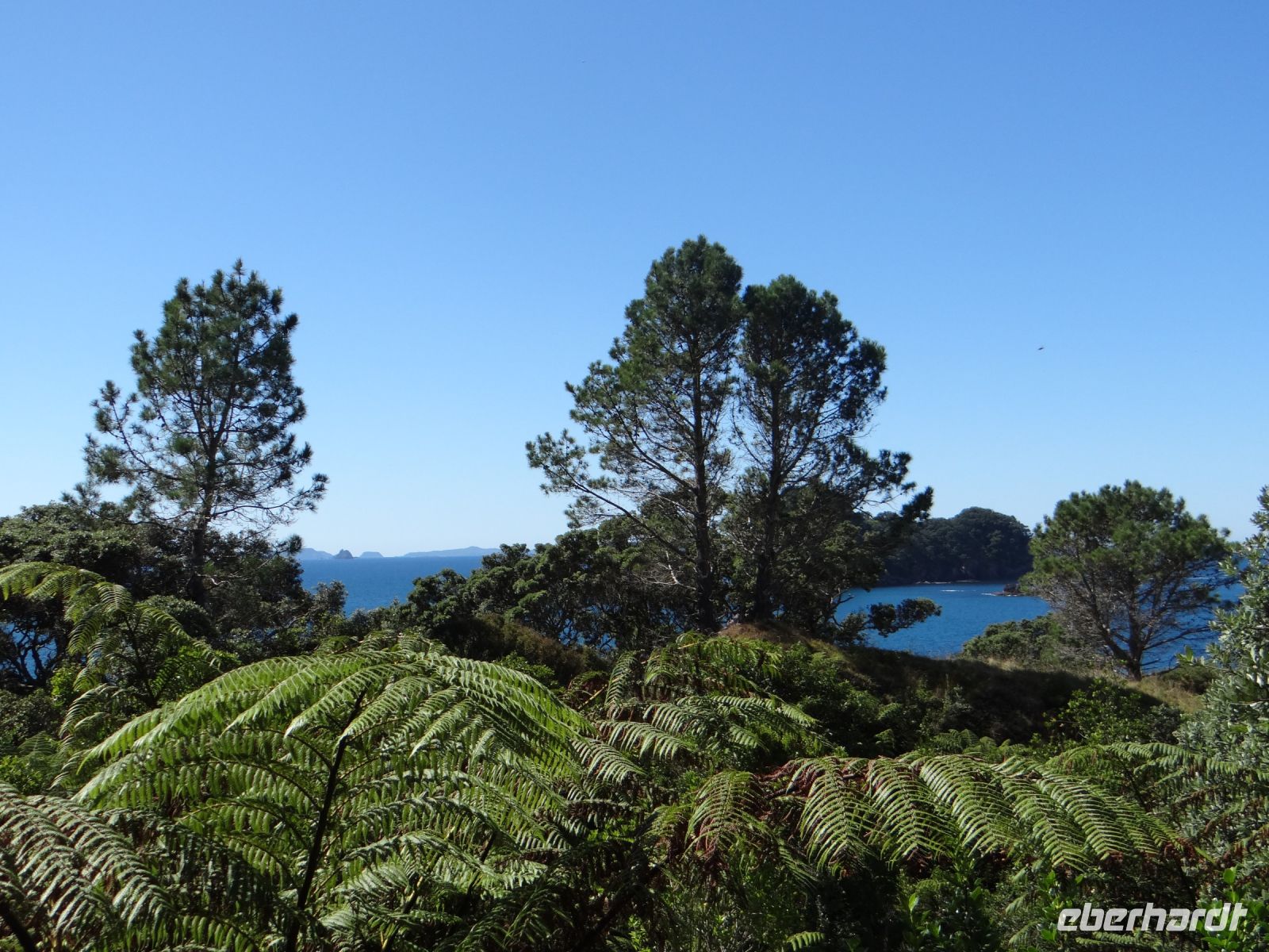 Cathedral Cove, Blick in die Ferne
