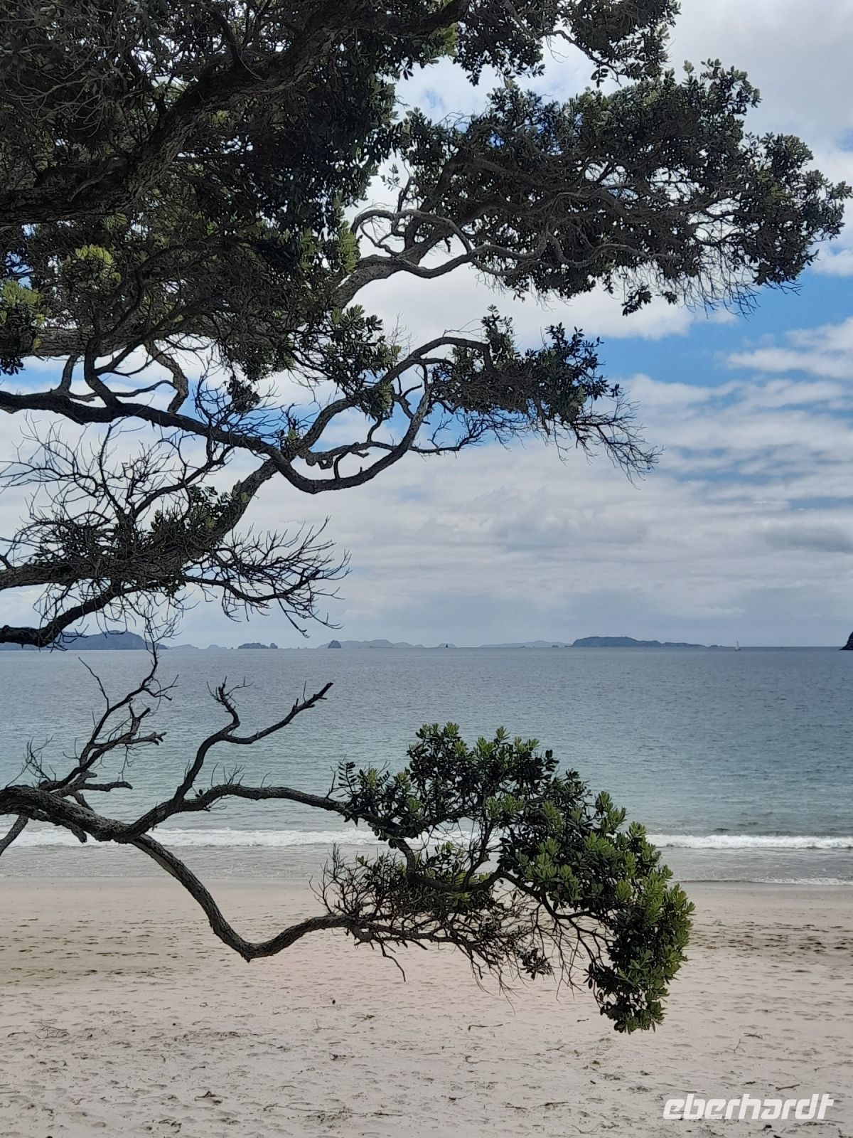 Cathedral Cove