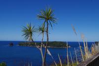 Cathedral Cove