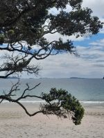 Cathedral Cove