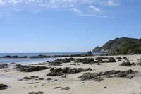 Catlins