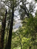 Chasm Walk
