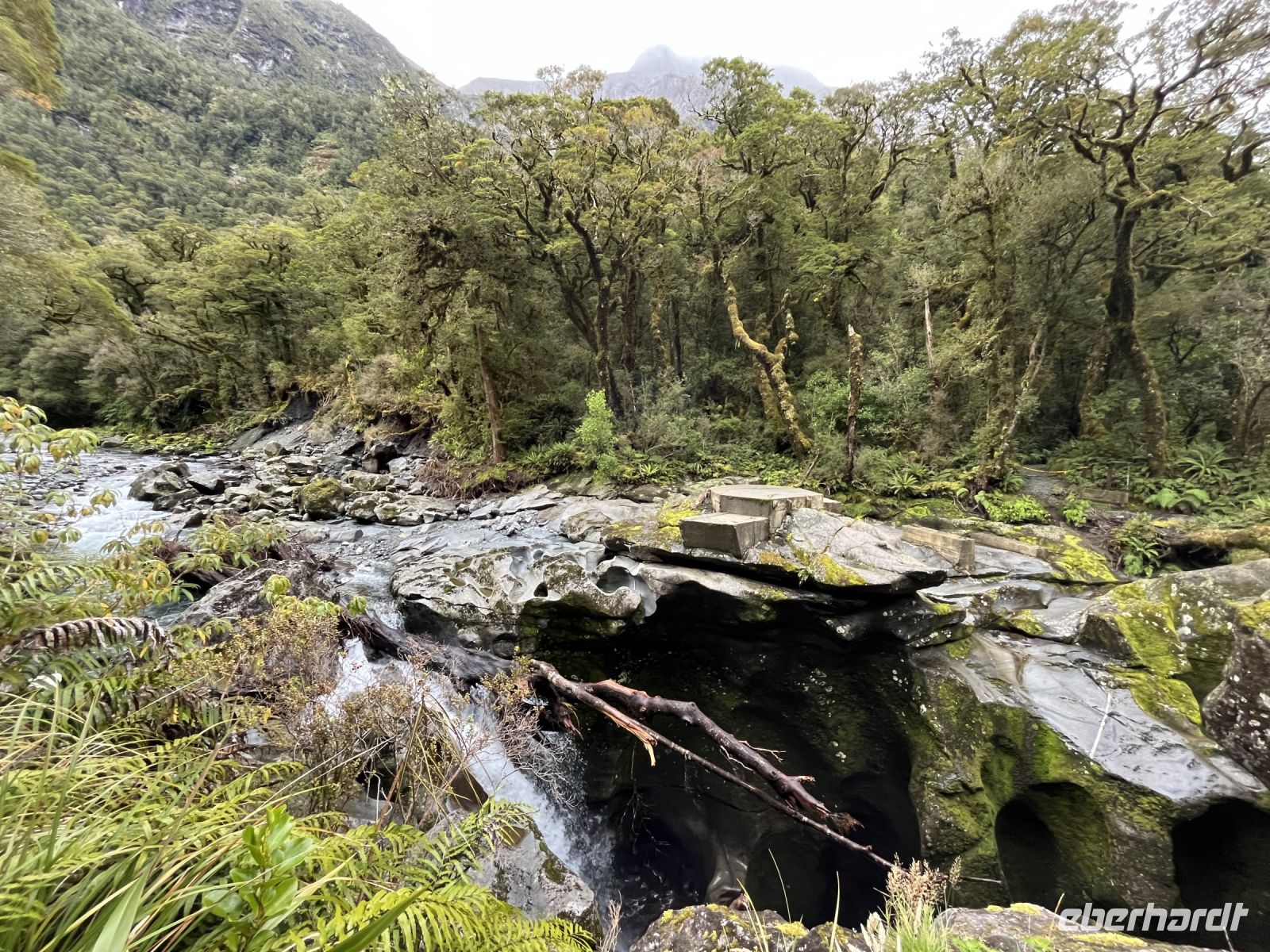 Chasm-Falls