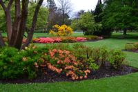 Christchurch - Botanischer Garten