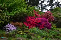 Christchurch - Botanischer Garten