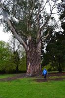 Christchurch - Botanischer Garten