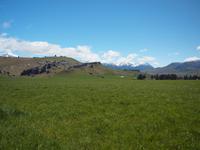 Christchurch - Punakaiki - Castle Hills