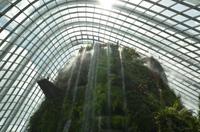 Cloud Forest 1