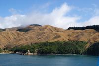 Cook Strait (3)