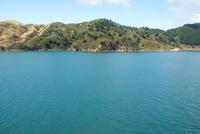 Cook Strait (6)