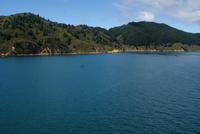 Cook Strait (7)