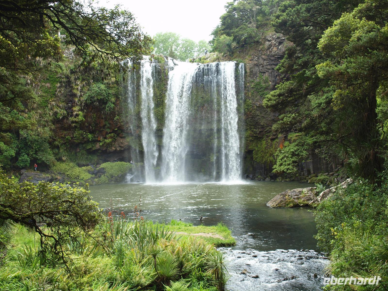 Coromandel - Paihia - Whangarei Falls