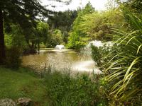 Coromandel - Paihia