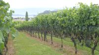 Coromandel Halbinsel, Weinprobe in Cooks Bay