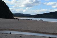 Coromandel-Halbinsel - Hot Water Beach