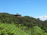 Coromandel