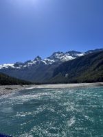 Dart River Safari
