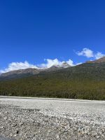 Dart River Safari