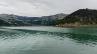 Delfintour mit dem Katamaran, Akaroa 
