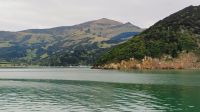 Delfintour mit dem Katamaran, Akaroa 