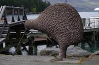 Der Kiwi