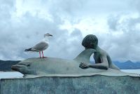 Der berühmte Delphin Opo in Opononi und Möwe Jonathan