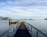 Dunedin - der Morgen erwacht