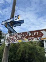 Dunedin 