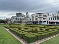 Dunedin 