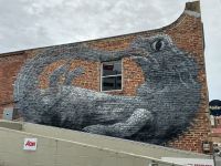 Dunedin 