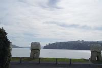 Dunedin in die Zahnärzte Stadt
