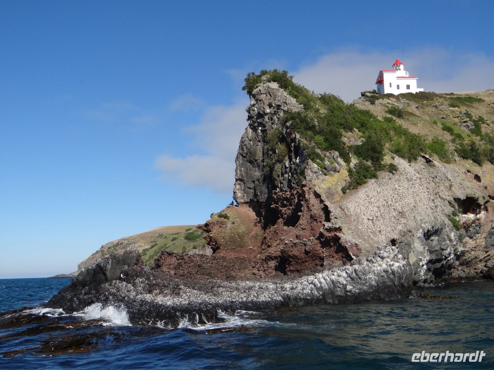 Dunedin, Tiersafari, auf diesem Fels leben die Albatrosse.