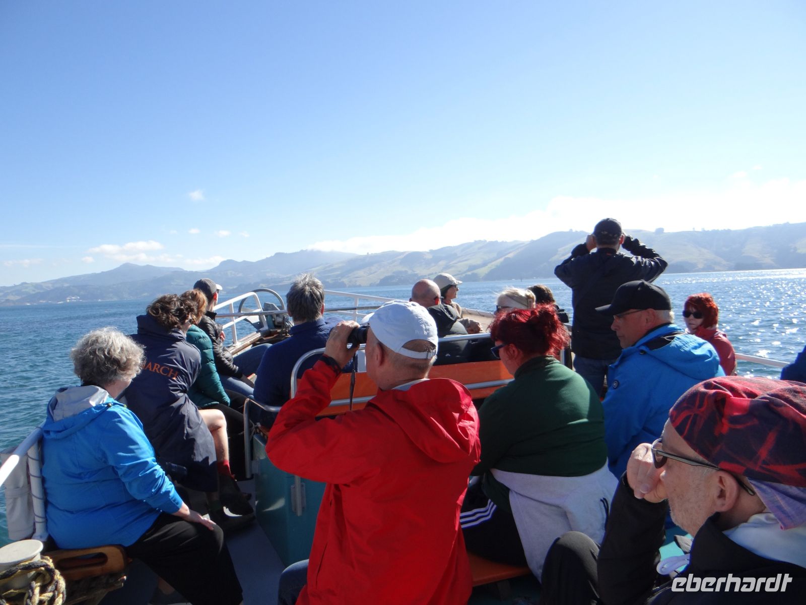 Dunedin, Tiersafari, ja wo sind sie denn?