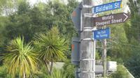 Dunedin, steilste Straße