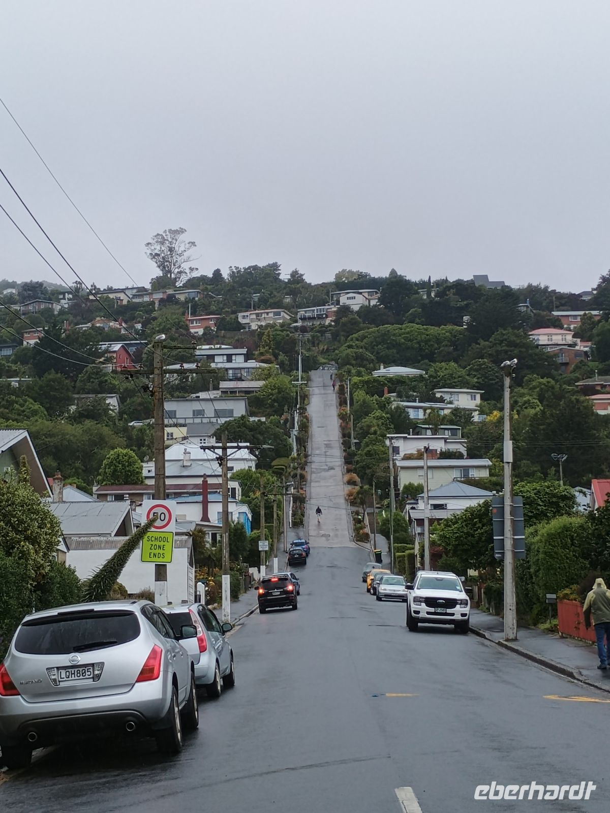 Dunedin