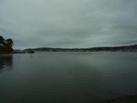 Dunedin