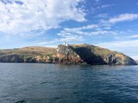 Dunedin