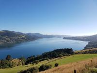 Dunedin