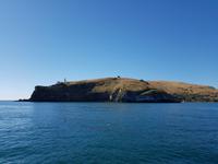 Dunedin