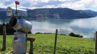 Dunedin