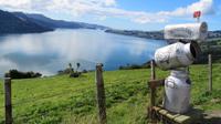 Dunedin
