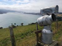 Dunedin
