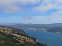 Dunedin